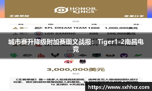 城市赛升降级附加赛图文战报：Tiger1-2南昌电竞