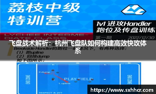 飞盘战术解析：杭州飞盘队如何构建高效快攻体系