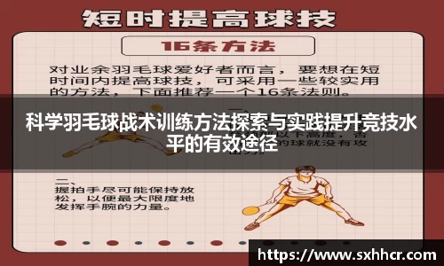 科学羽毛球战术训练方法探索与实践提升竞技水平的有效途径